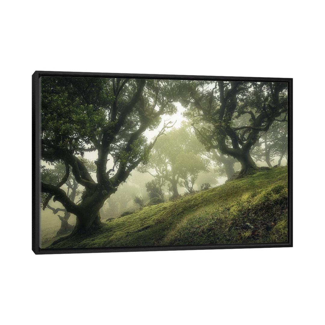 Enchanted Forest by Frans Van Der - Floater Frame Print on Canvas