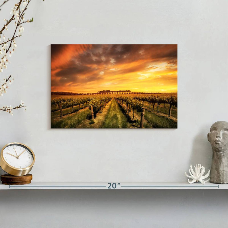 Alvord Barossa Valley Vineyard