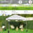 Multi-sized Pop-up Canopy with One-Push-To-Lock Setup Mechanism-111440578-97211100