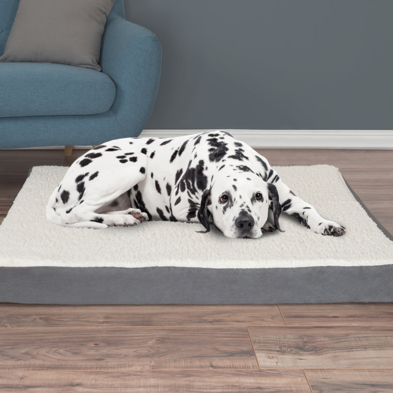 Extra-Large Gray Orthopedic Sherpa Pet Bed