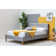 Jessamine Upholstered Bed