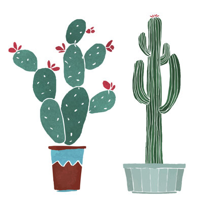 Deux cactus aquarelles différents isolés sur fond blanc - peinture sur toile tendue