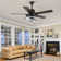 Eustolio 52'' DIY Shade Reversible Caged Ceiling Fan with Dimmable LED Light and Remote