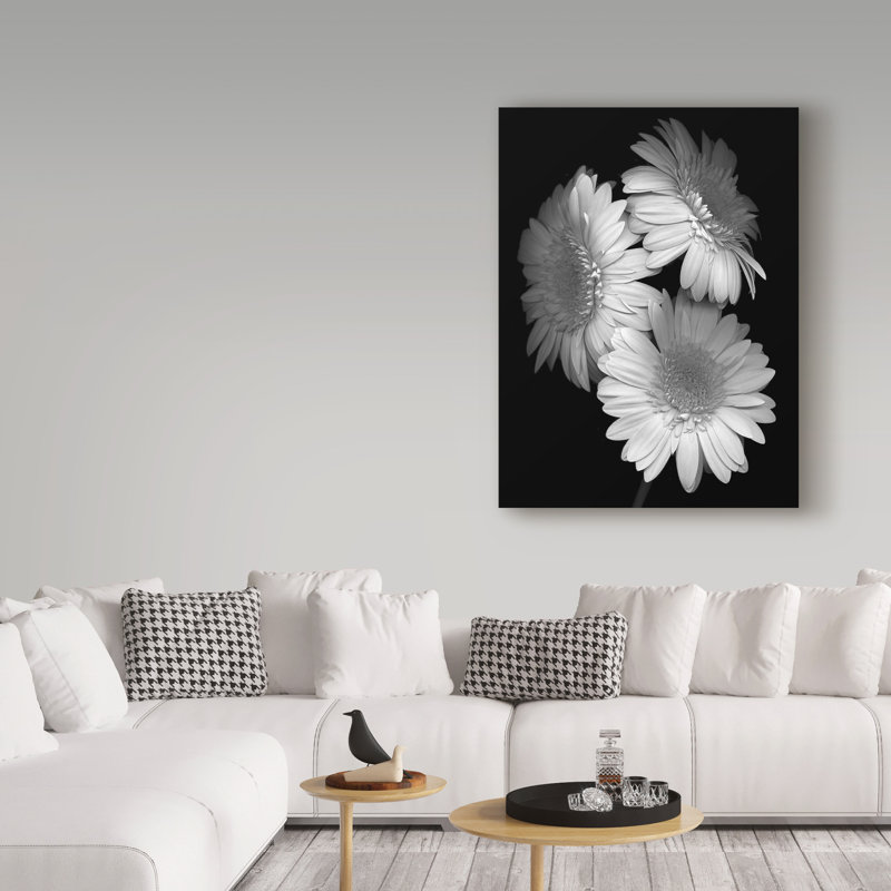 «Gerbera Daisy Black and White» par Dosta, impression sur toile tendue, H 24 po x l 18 po x P 2 po