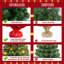 Arbre de Noël de table portable avec base en béton vert-372539491-331898114