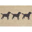 Tapis de cuisine Nettles-20275725