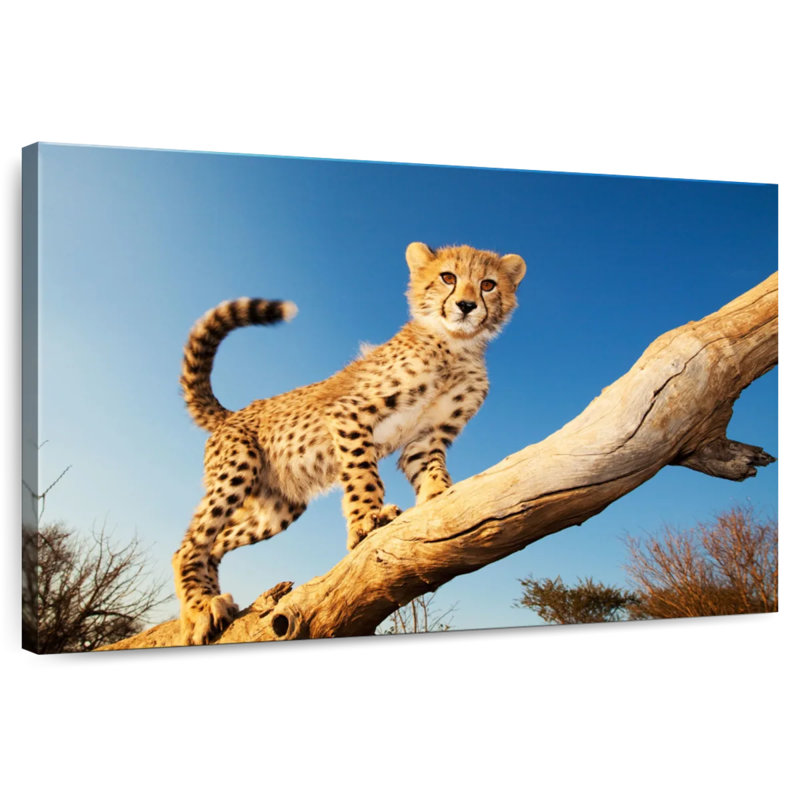 Brampt Cheetah Cub, 24" H x 36" W