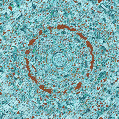 Indoor Rug