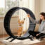 93cm H Cat Tree-1874770890