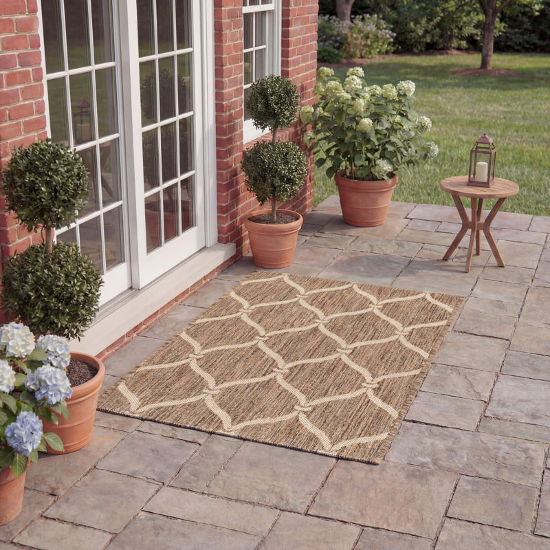 Coroghon Performance Geometric Indoor/Outdoor Area Rug, Rectangle 2' x 3'7"