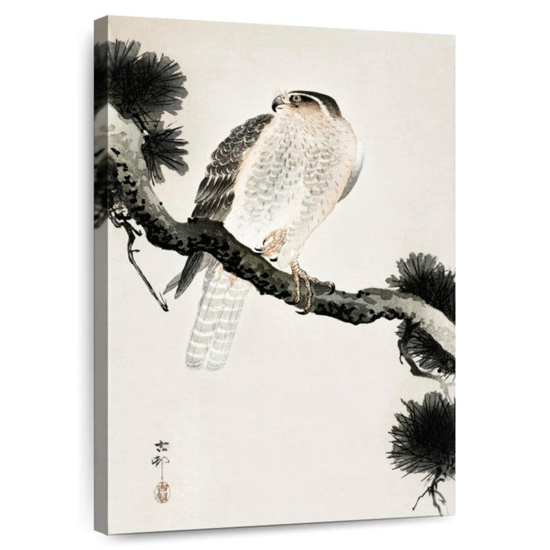 Brampt Hawk On Pine Branch, 39" H x 26" W