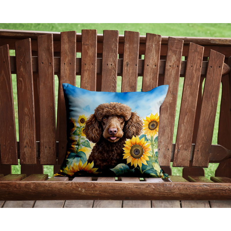 Other/No Pattern Outdoor Throw Pillow, 14"H x 14"W