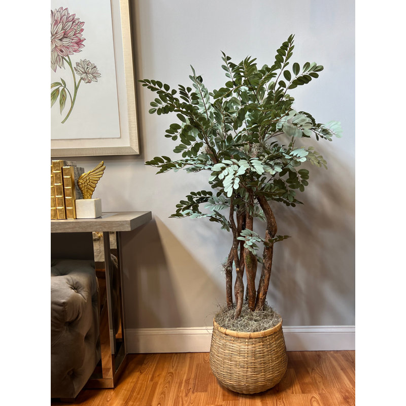 Organic Modern 4.5' Faux Moringa Tree