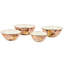Wild Rose Everyday Bowl-145984596-145984593