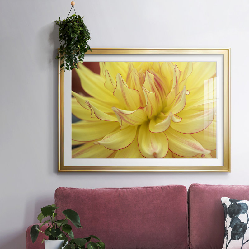 Blooms avec cadre en I et cadre biseauté mat et verre, Or, H 15 po x l 21 po x P 1,5 po