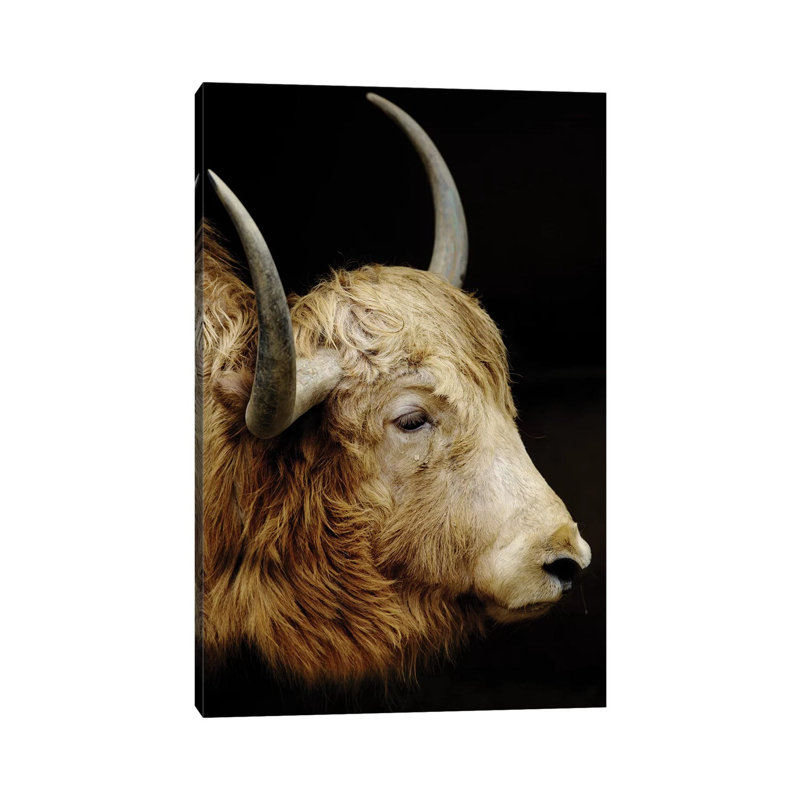 Cow II by Goran Anastasovski - Wrapped Canvas Print, 20.32 cm H x 30.48 cm W