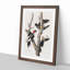 Ivory Billed Woodpeckers by John Audubon - Framed Print-55576172-55576173