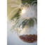 Ornements de boules de Noël D3,9 ", boules de Noël suspendues en verre, ensemble de 6-111892784