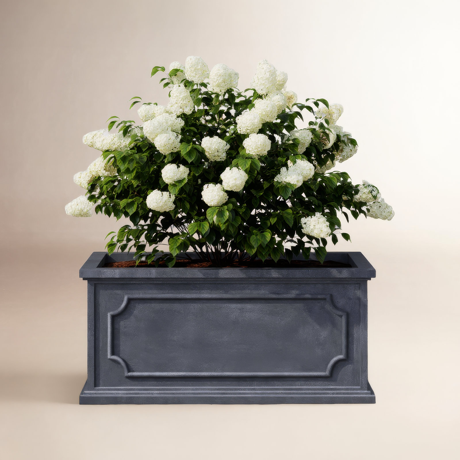 Ericson Planter Box, 14.25" H x 31.5" W x 15" D, Lead Lite