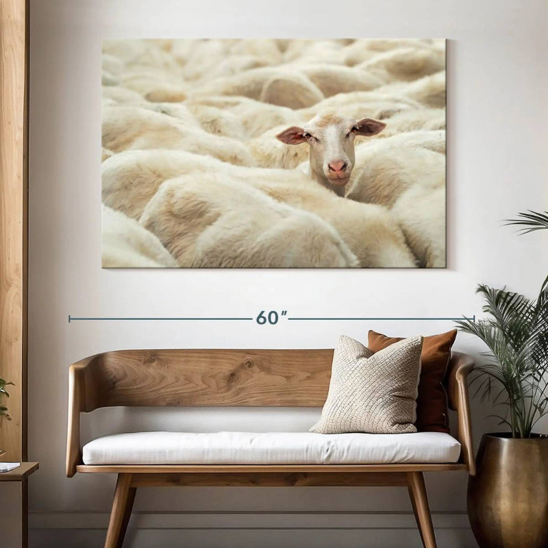 Brampt Curious Sheep, H 34 po x l 51 po
