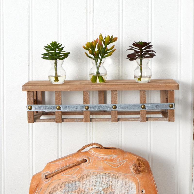 Succulent Arrangements Silk Plant Set