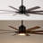 66'' Ceiling Fan with LED Lights-453944122