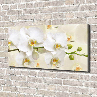 Orchid 1 Piece Wall Art