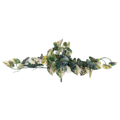 15 Plant
