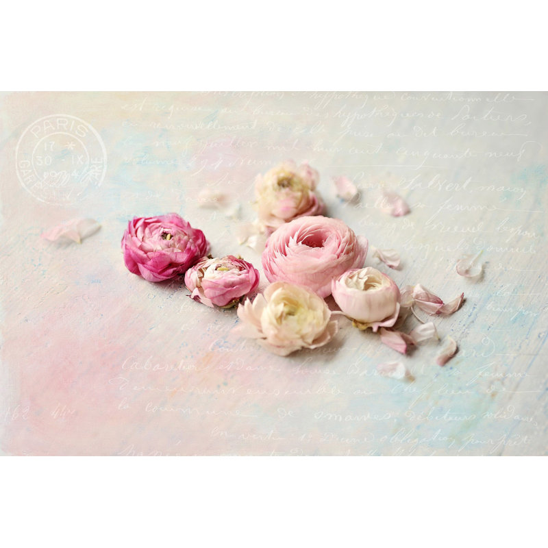 Sylvia Cook - Wrapped Canvas Print, 41cm H x 61cm W x 3.81cm D
