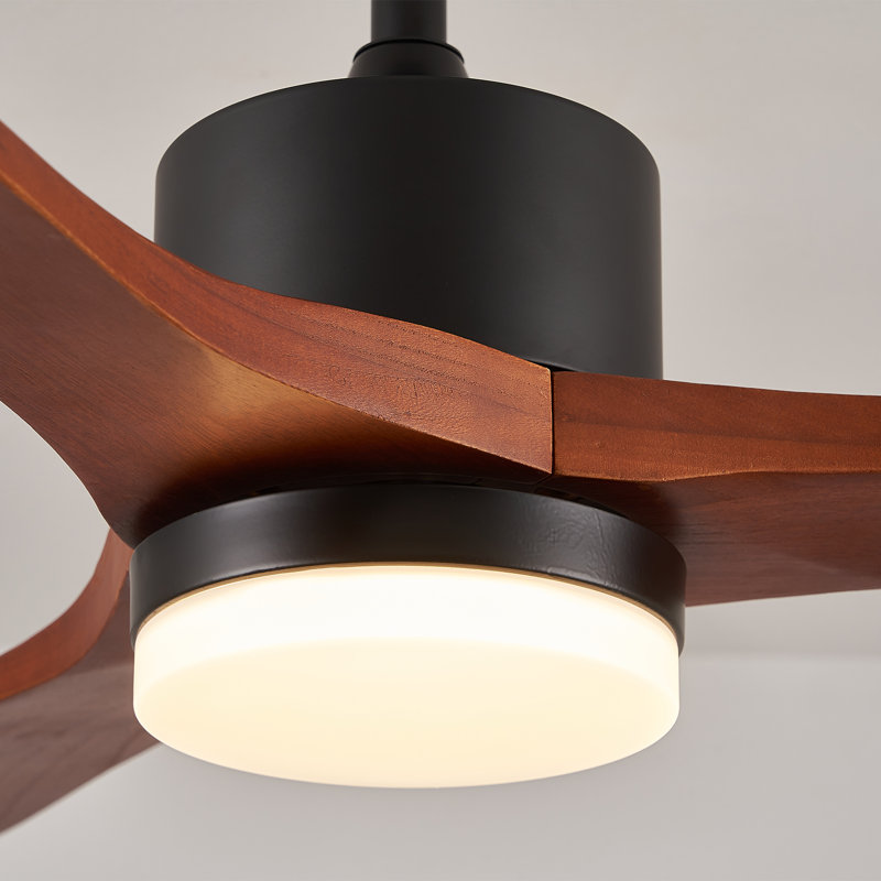 Aarshiya 52'' Ceiling Fan with LED Lights