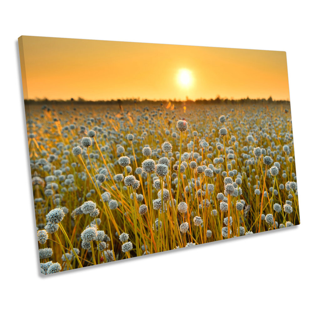 Field of Flowers Sunset Wrapped Canvas Art Print