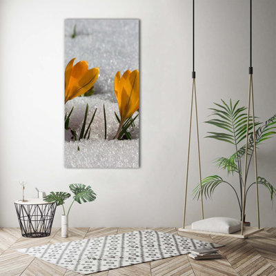 Yellow Crocuses - Wrapped Canvas Print