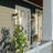 Zuhal Wall Light