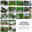 50.8cm Faux Boxwood Hedge