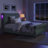 Eldredge Tufted Upholstered Platform Bed with Remote-controlled Lighted-1435772574-1435772569