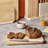 Caraway Birch Wood Cutting Board
