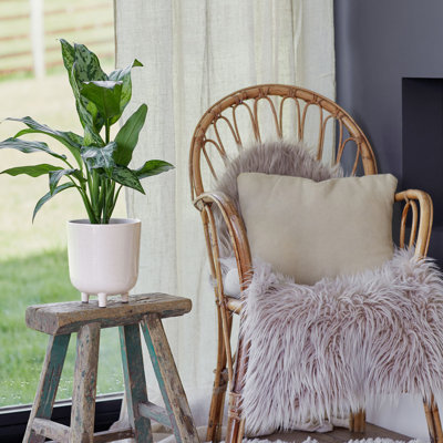 Lecce Speckled Planter