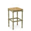 Chiem Counter Stool with Solid Wood Frame-17846161-46501370