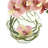 Orchid Arrangement in Vase
