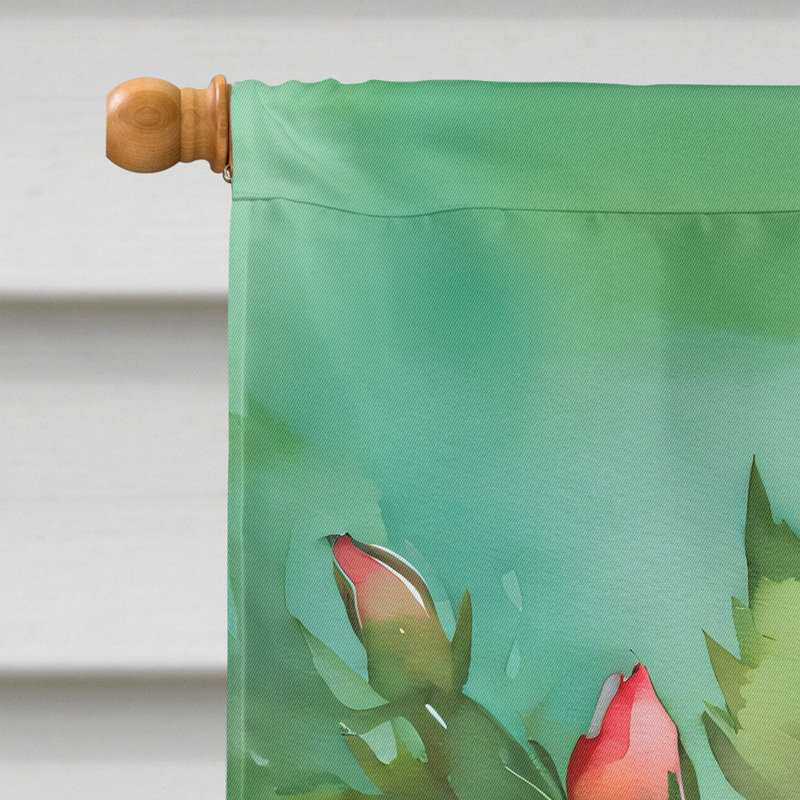 Drapeau de maison en polyester à double face H 40 po x l 28 po