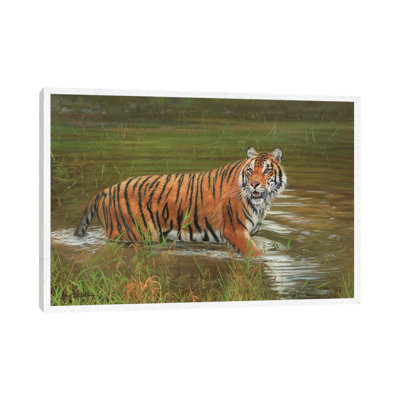 Amur Tiger Cooling Off by David Stribbling - Floater Frame Gallery-Wrapped Canvas Giclée on Canvas