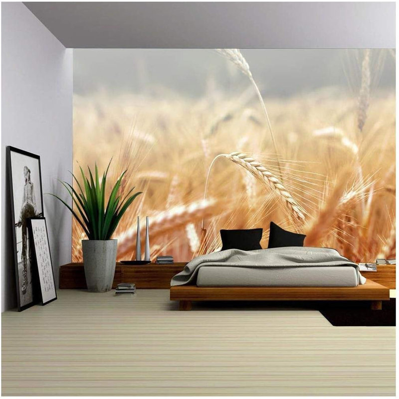 Peel & Stick Border, 100" L x 144" W