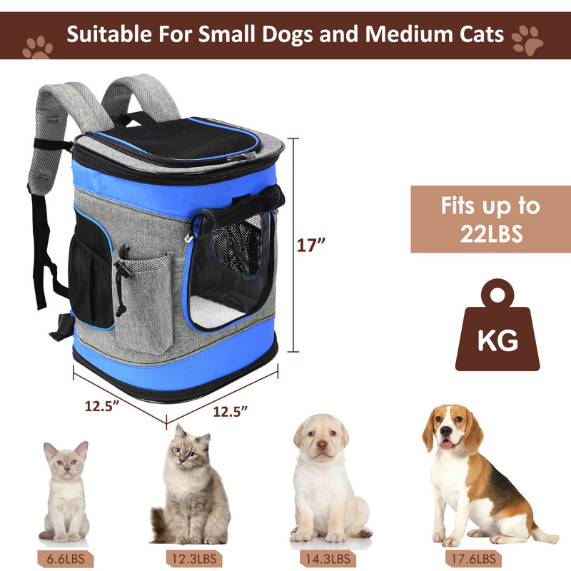Tirrinia Potable Pet Backpack Carrier for Cat and Dog, Blue