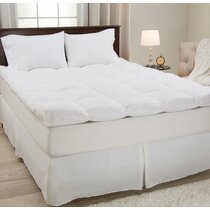 https://assets.wfcdn.com/im/10128338/resize-h210-w210%5Ecompr-r85/3525/35256640/4%22+Feathers+Mattress+Topper.jpg