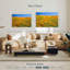 California Golden Poppies-1760357513