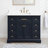 Lisette 42" Single Bathroom Vanity Set-88150690