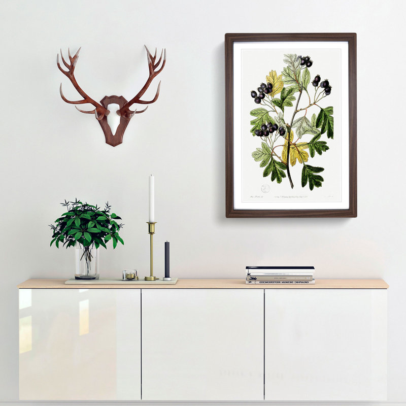 Small-Flowered Hawthorn Berry Tree - Picture Frame Painting Print, 36cm H x 27cm W x 2cm D, Walnut Framed