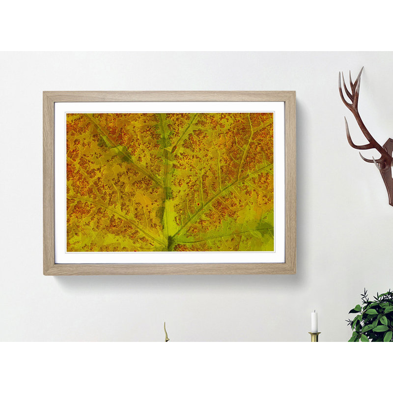 Veins of the Leaf in Abstract - Picture Frame Graphic Art Print, 50cm H x 76cm W x 2cm D, Oak