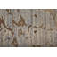 Tapis rectangulaire Rhun-297068619