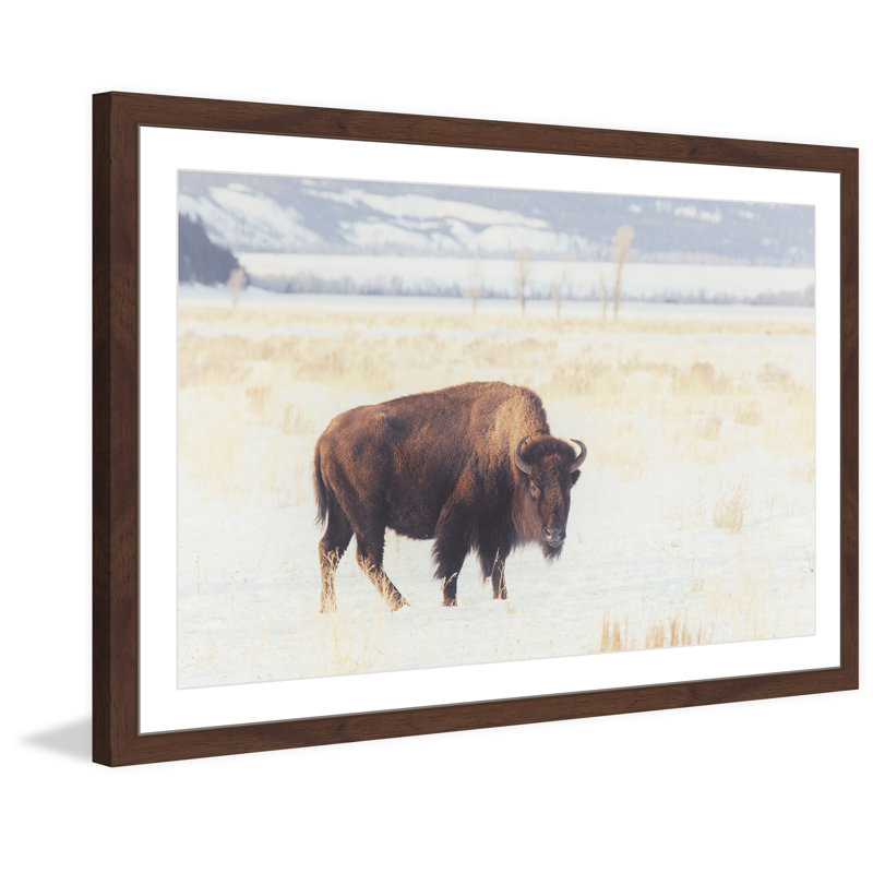 « curieux animaux », reproduction de photo, 24 po x 36 po, Cadre brun